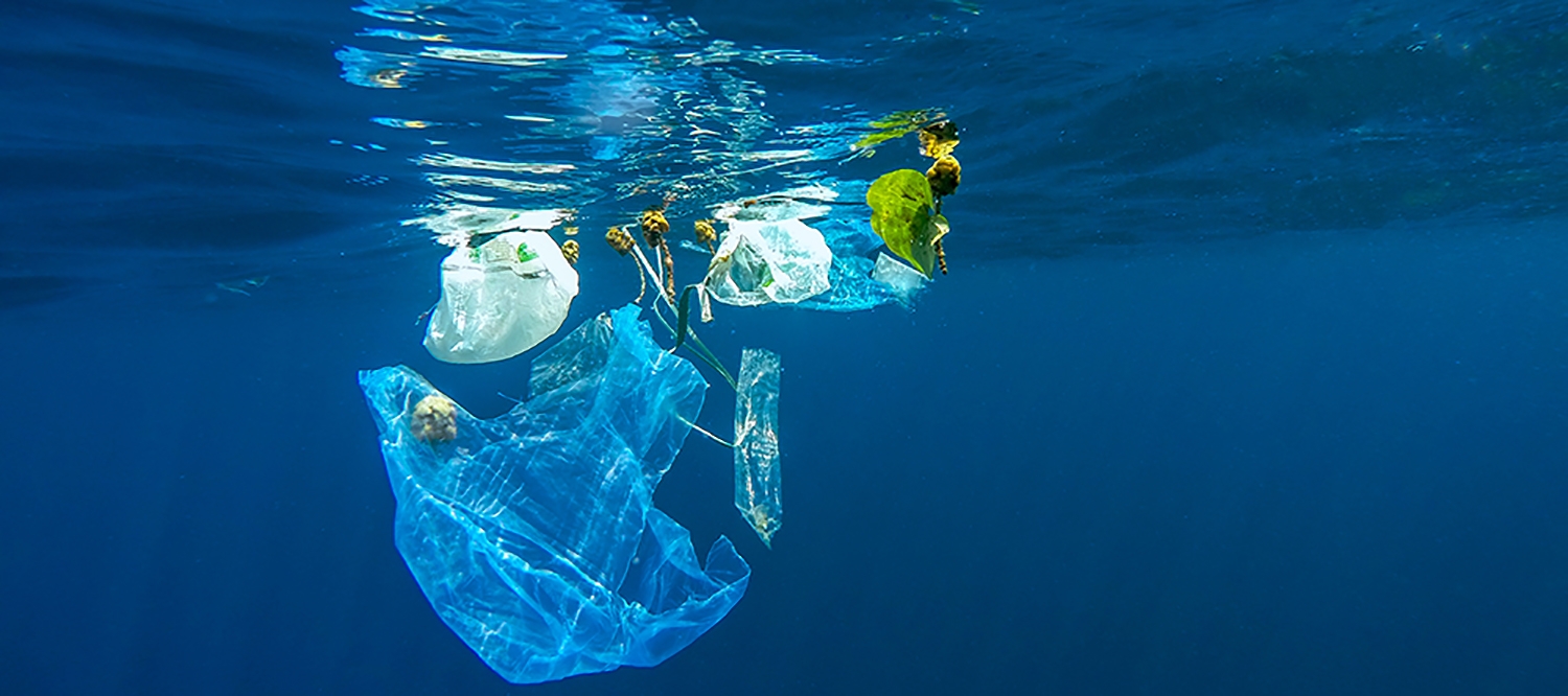 Green Alliance simple actions to tackle marine litter - A & A Packaging